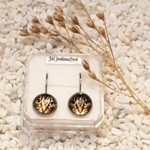 Náušnice kočičáci